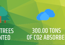 How Data Direct Made Brexit a Positive: Challenges Turned into Opportunities