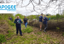 Apogee volunteers spend a day at Whisby Nature Park Apogee volunteers spend a day at Whisby Nature Park