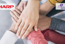 Sharp UK’s 20 years working with Procurement Services