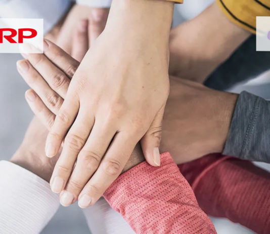 Sharp UK’s 20 years working with Procurement Services