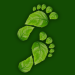 Efficiency and sustainability