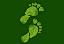How Energy Efficient Printers Lower Costs and Carbon Footprints Efficiency and sustainability