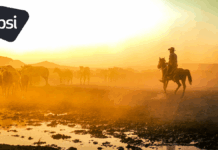 Ending the AI Wild West: New BSI Standard Brings Accountability