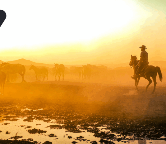 Ending the AI Wild West: New BSI Standard Brings Accountability
