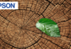 Epson’s Commitment to Eco-Friendly Printers: Sustainability Beyond the Product Environmental priorities