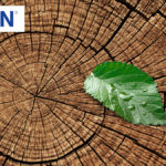 Environmental priorities