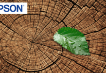 Epson’s Commitment to Eco-Friendly Printers: Sustainability Beyond the Product Environmental priorities