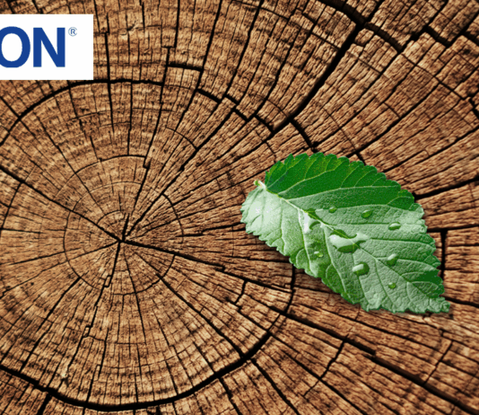 Epson’s Commitment to Eco-Friendly Printers: Sustainability Beyond the Product Environmental priorities