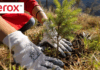 Xerox: Towards a more Sustainable Future Towards a more sustainable future