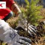 Xerox: Towards a more Sustainable Future Towards a more sustainable future