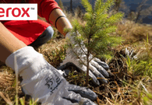 Xerox: Towards a more Sustainable Future P32 Xerox
