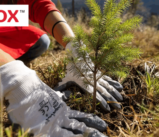 Xerox: Towards a more Sustainable Future Towards a more sustainable future