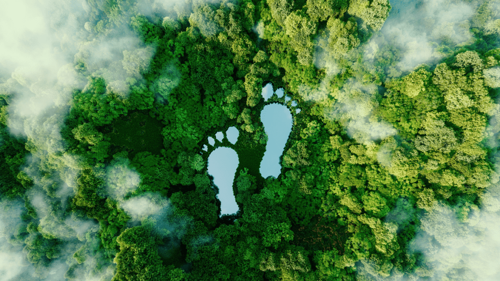 Sustainable Printer Consumables are Rising on Business Agendas