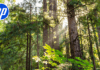 HP releases FY25 Sustainability Progress Report 2005 PITCH HP