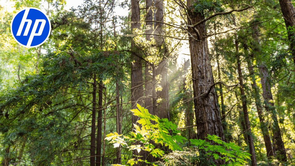 HP releases FY25 Sustainability Progress Report
